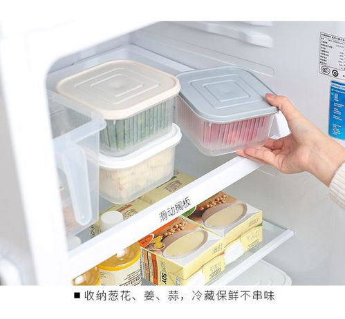 創(chuàng)意廚房好物 點(diǎn)亮烹飪樂趣，提升家居幸福感