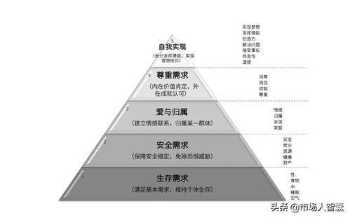 市場(chǎng)策劃人的營(yíng)銷(xiāo)模型 解析框架化的成功之路